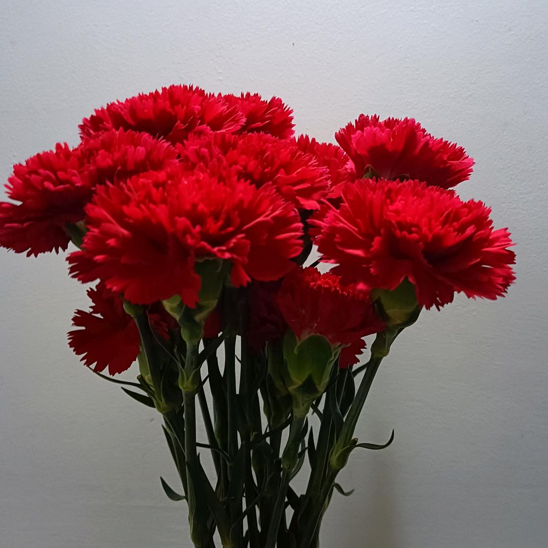 用户3832680910775，快乐开心