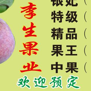 李生果业