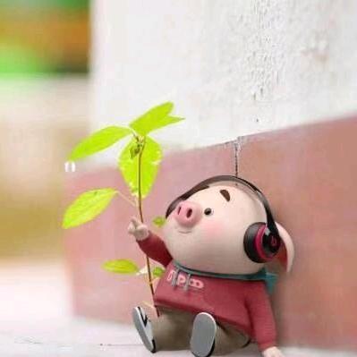 找油菜花