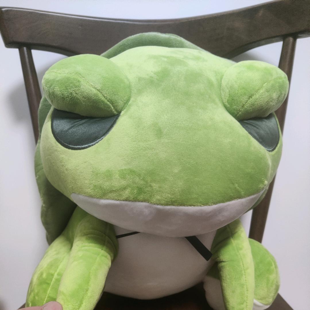 遵纪守法小青蛙