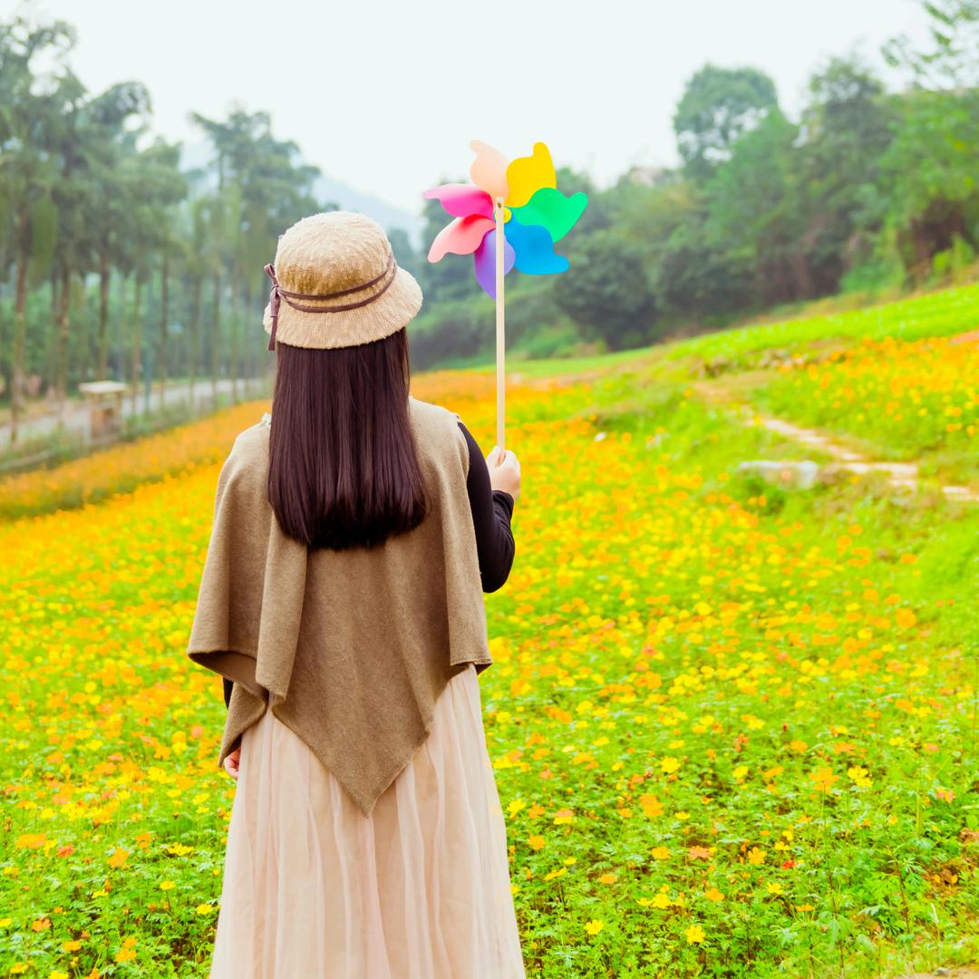 樱花涵
