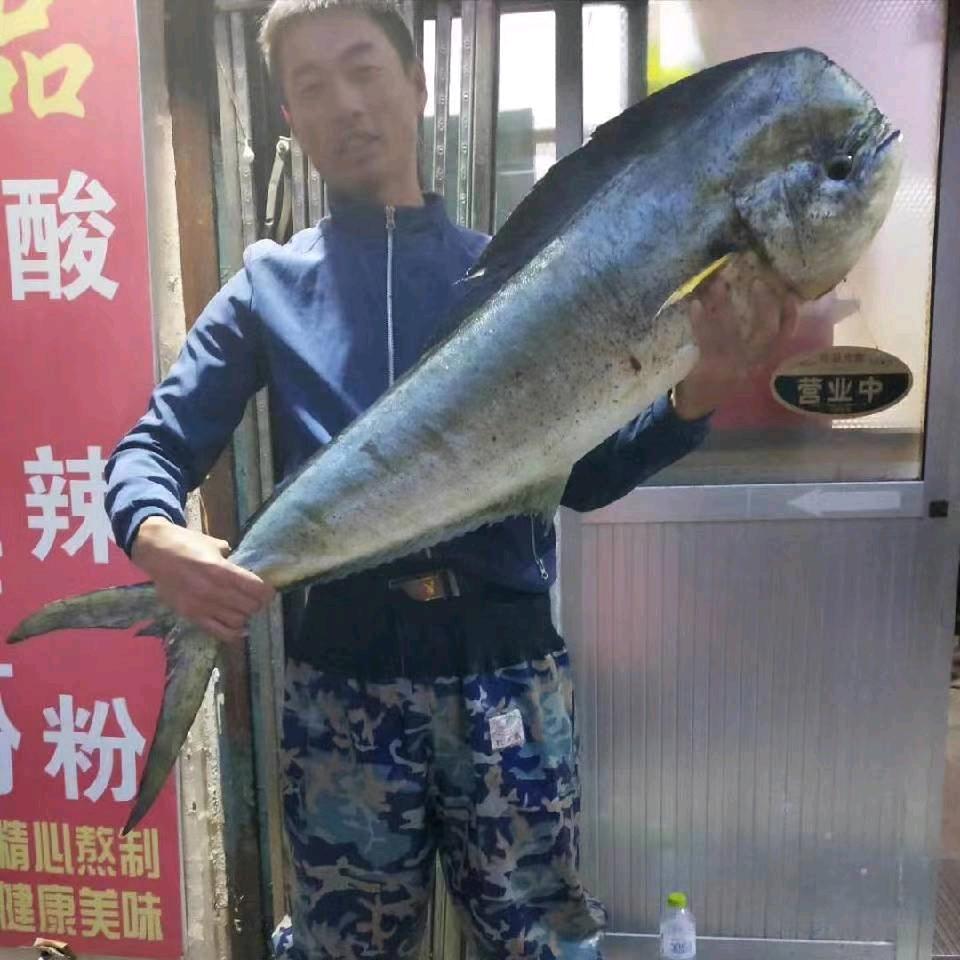 小姚渔乐圈《威海船长》