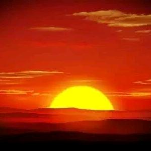 良子烧烤龙虾馆：临青路295号