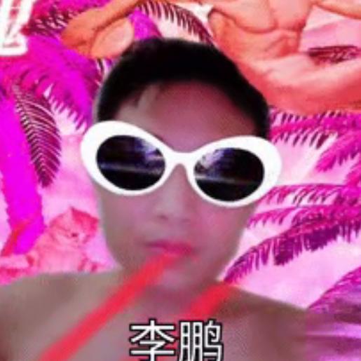 贵州《鹏哥》