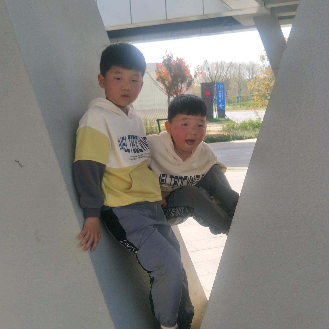 博飞