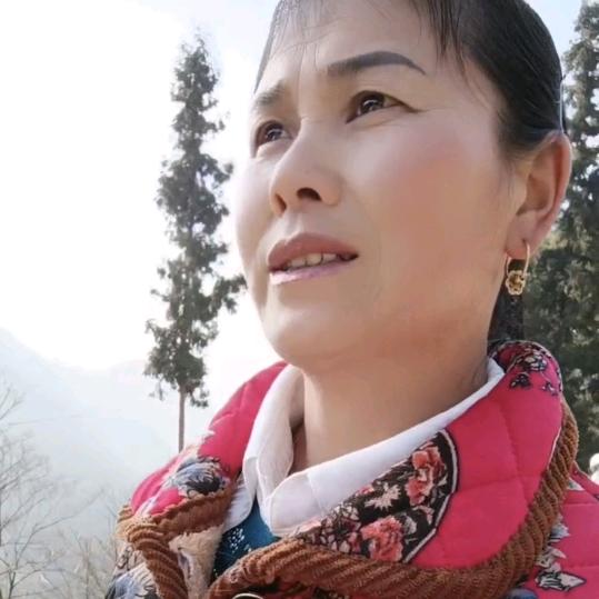 龙绍平