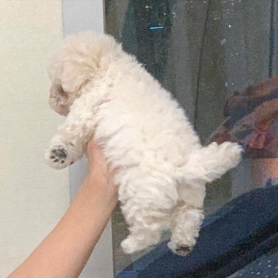 满月.