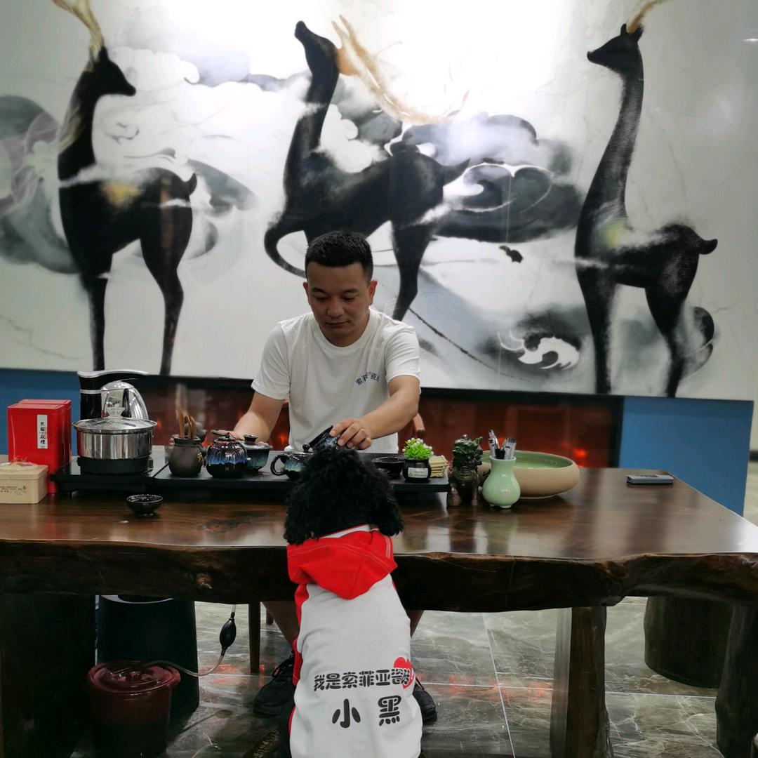自贡文翔装饰