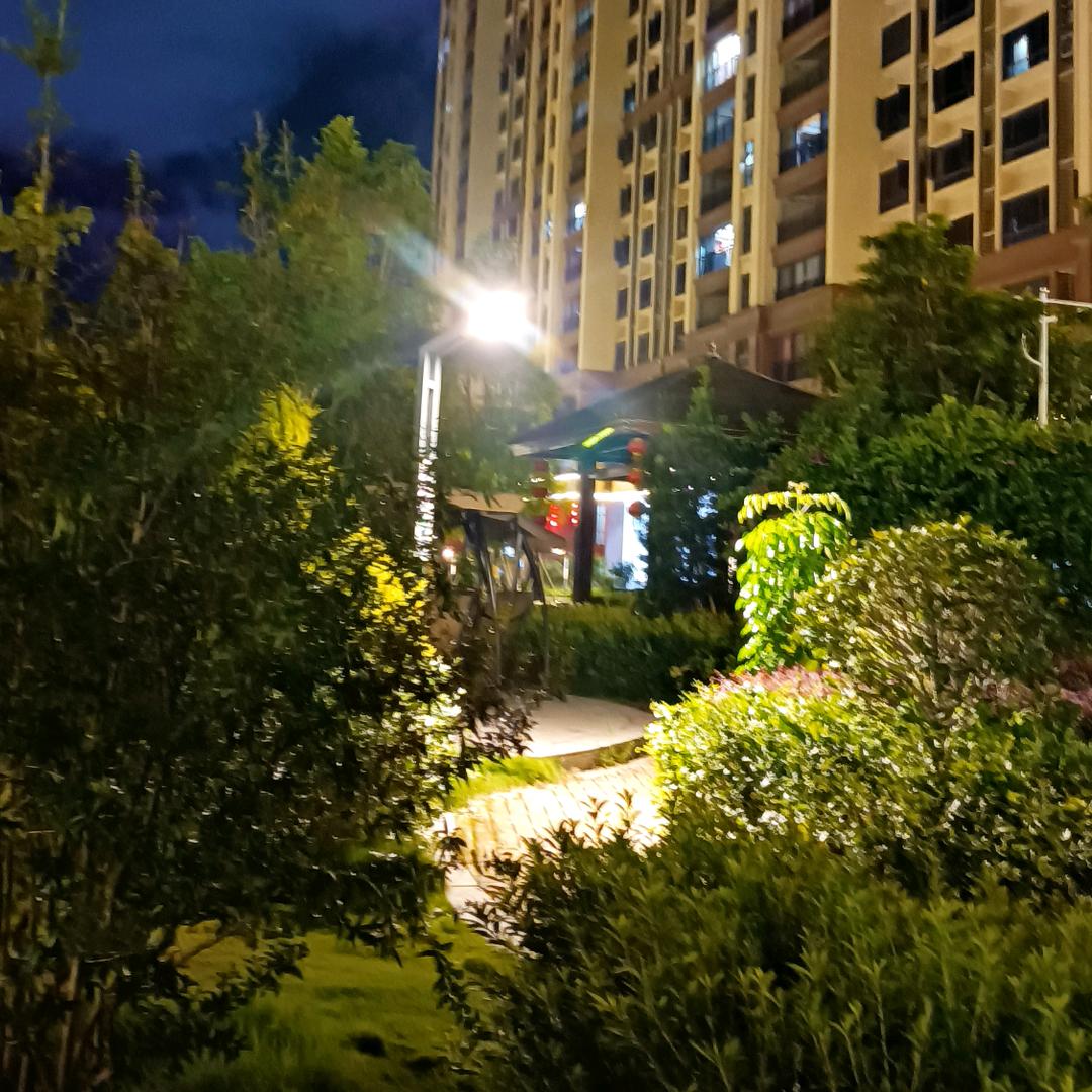 绿叶哥歌
