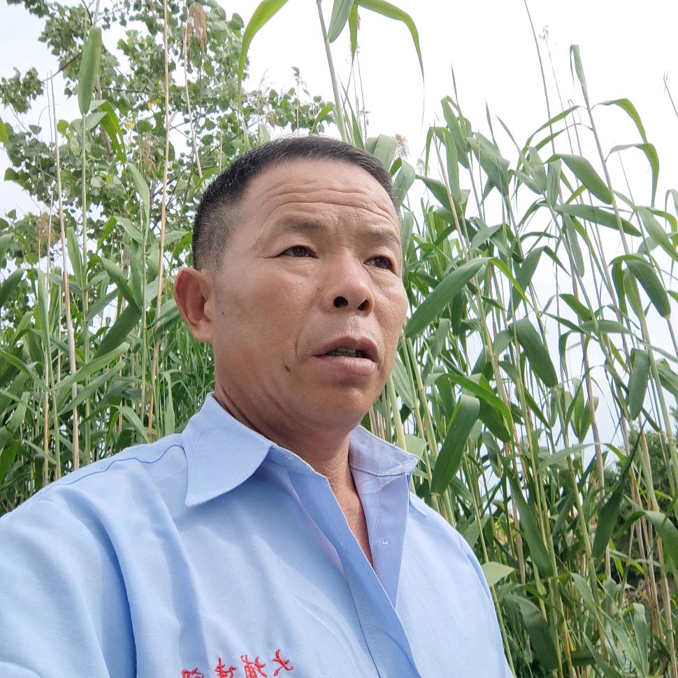 用户1428606167945拼博