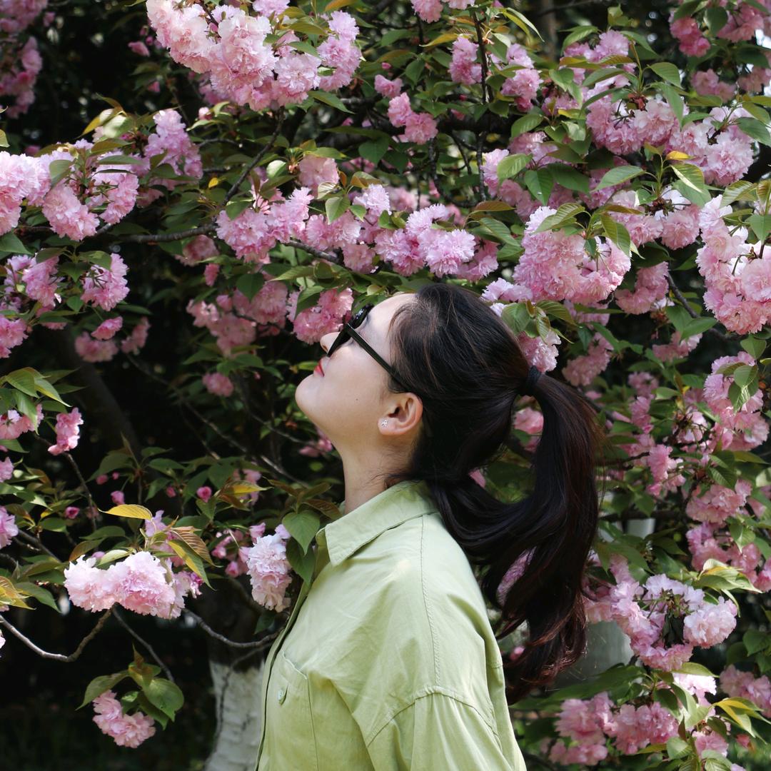 静静的宝藏小屋