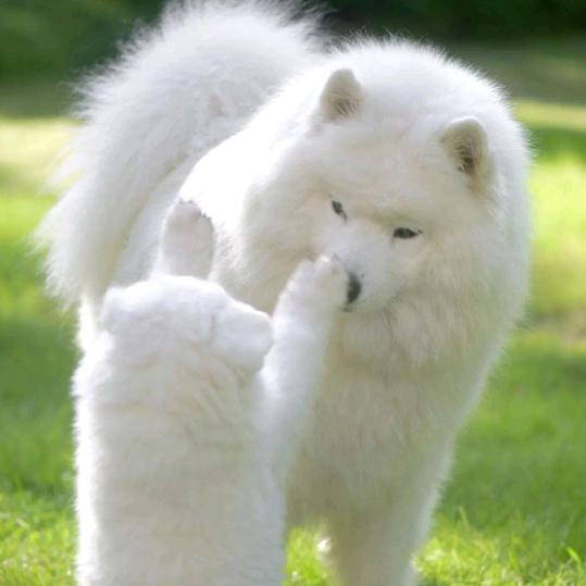 走的时候叫醒我