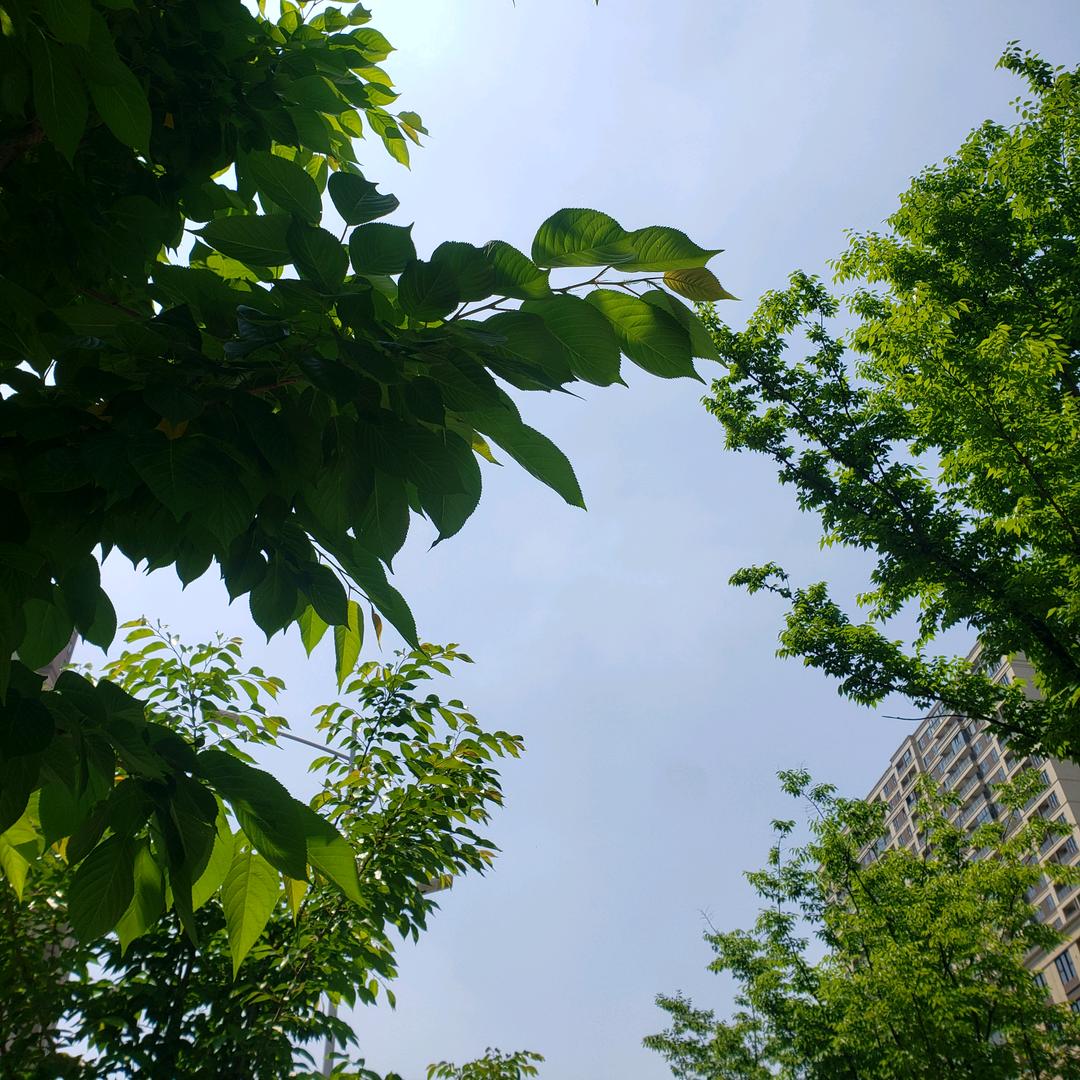 呵呵