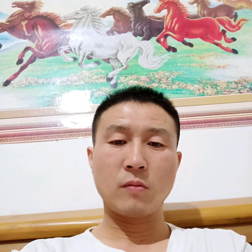 狗撵兔