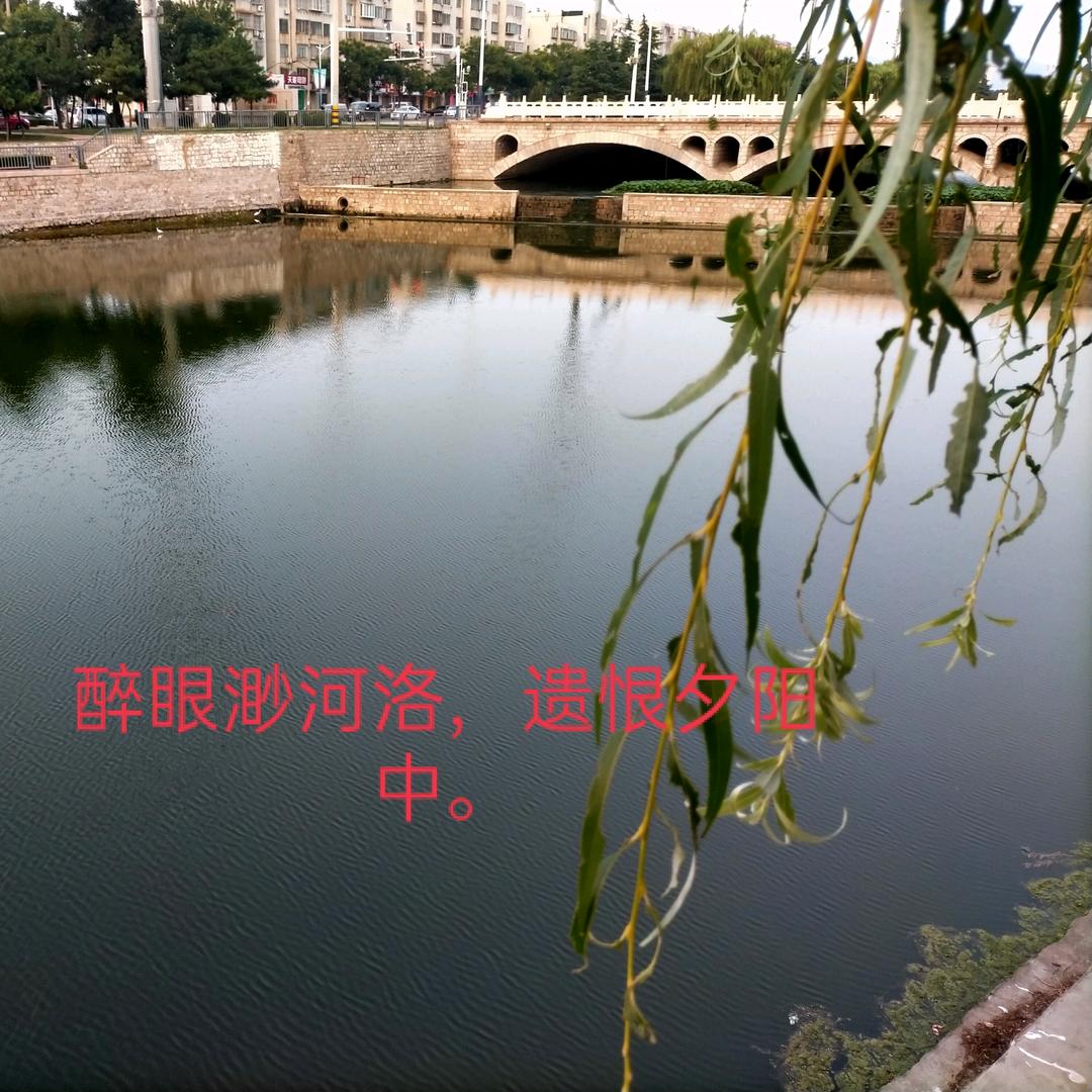 蛟龙归海