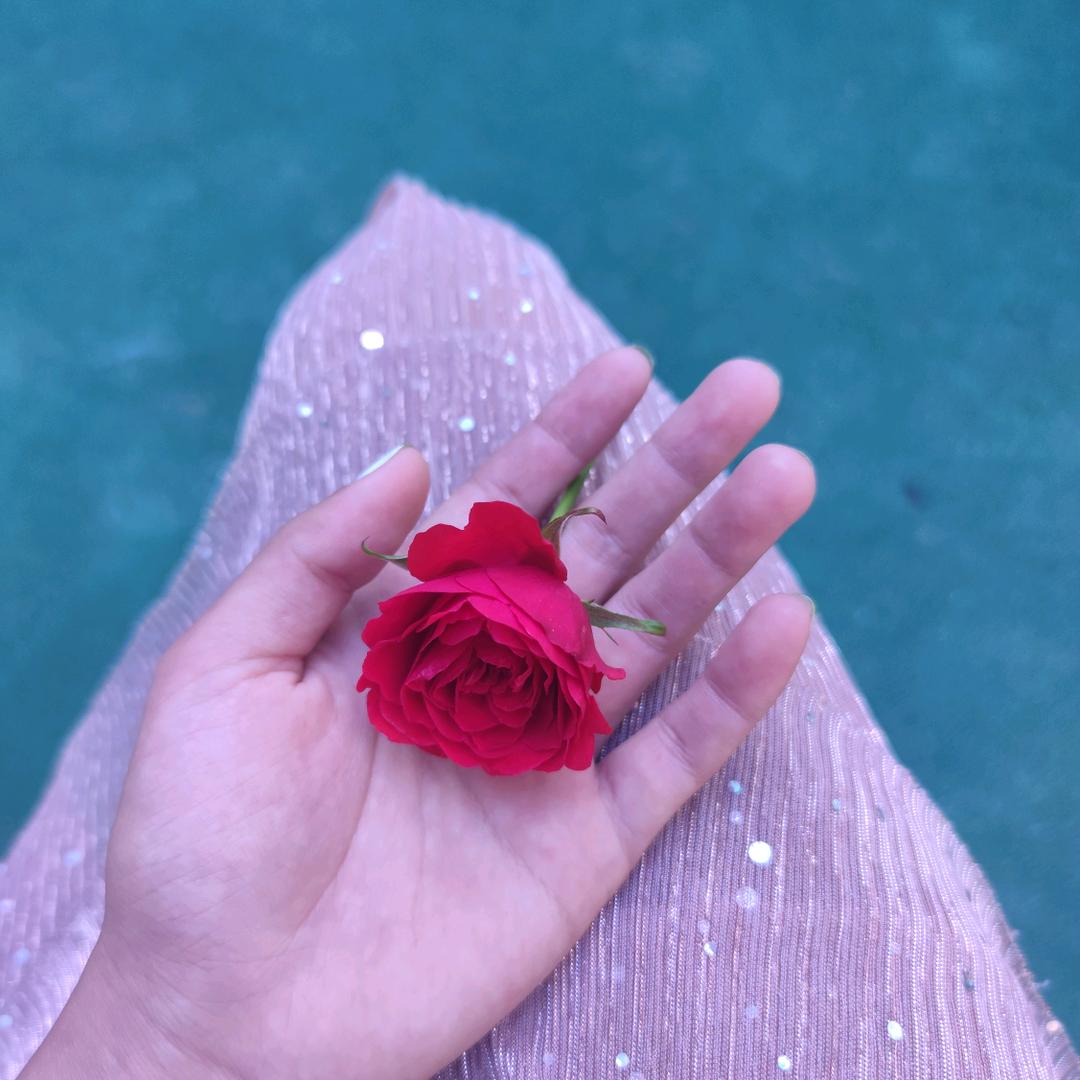 是阿苇呀