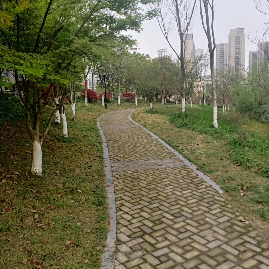 阿南1008