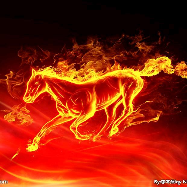 火焰驹385263