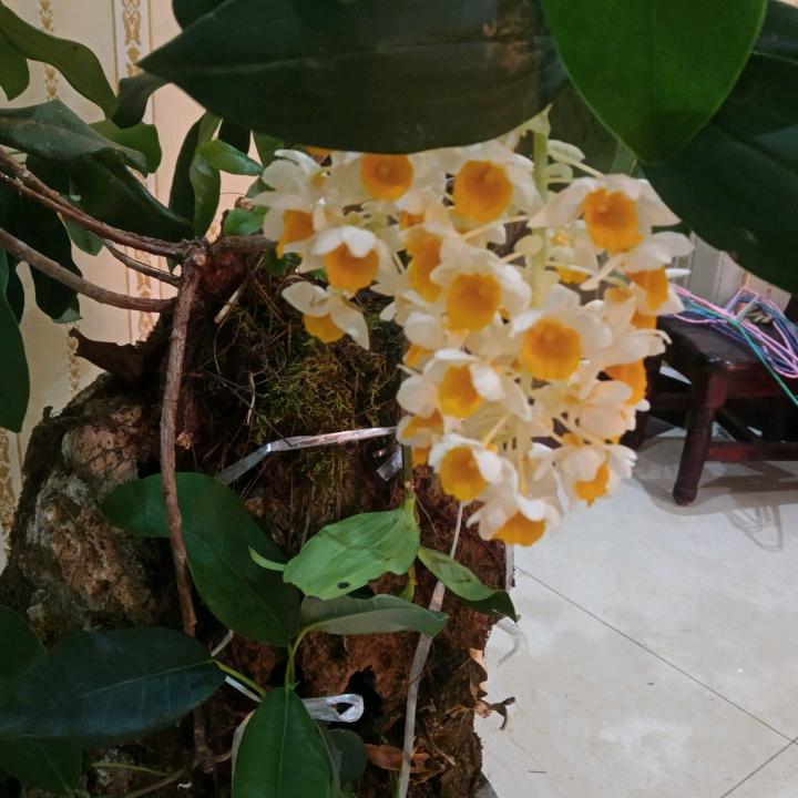 有你更幸福