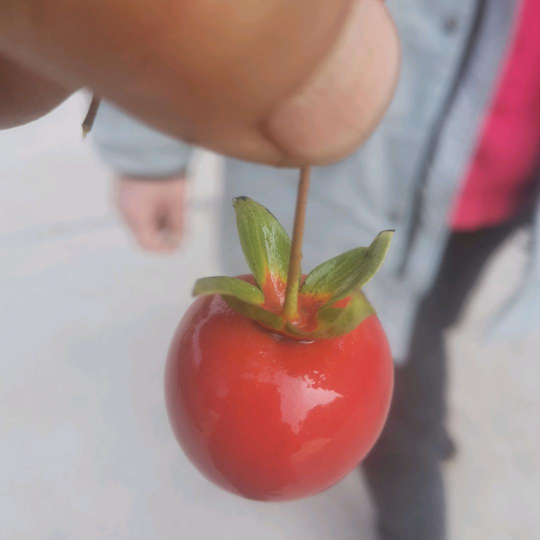 黄平金弹子盆景