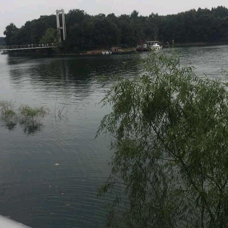 强鑫水产
