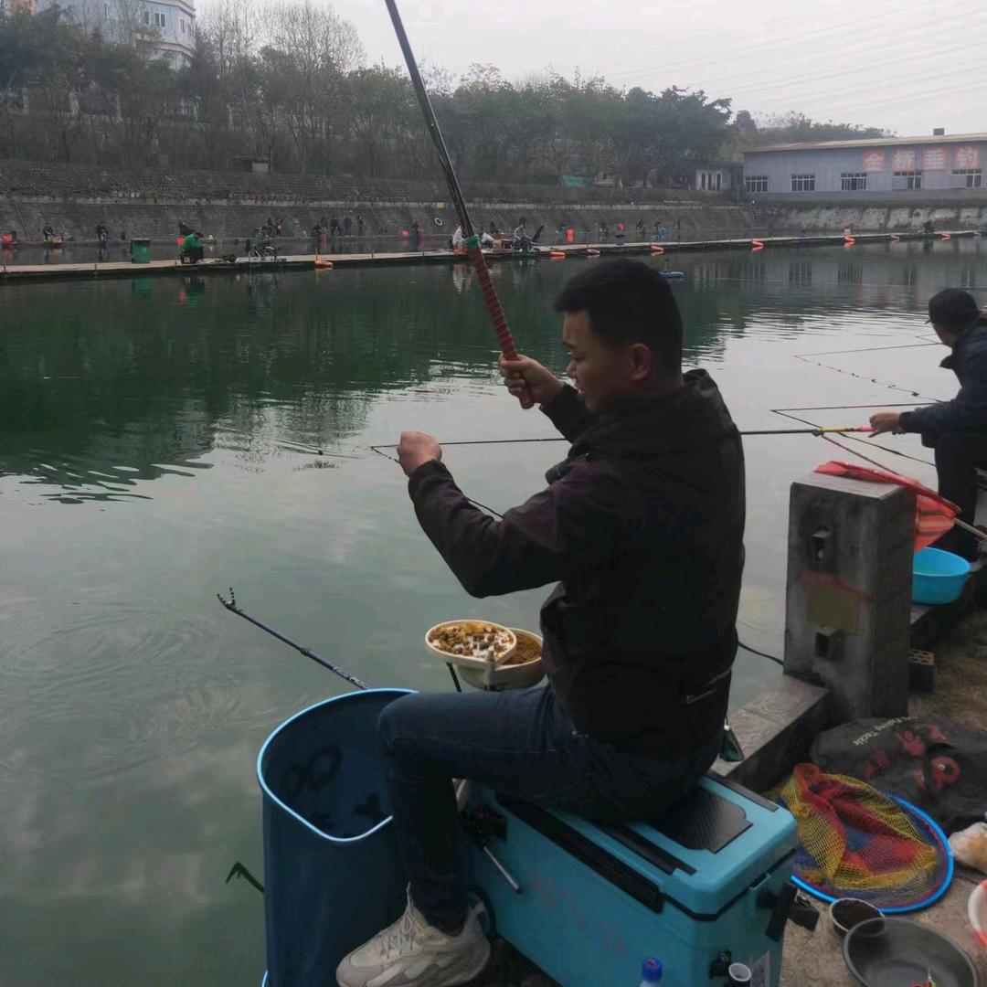 自繁自养土黑山羊
