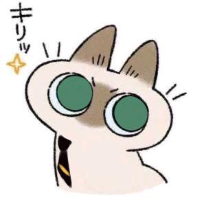 这么沙雕当然是女孩子