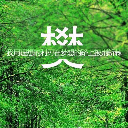 💞᭄傻小子꧔ꦿꦿ꯭💞