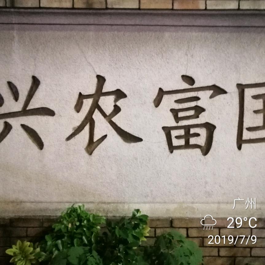 兴农富家-龙牙百合