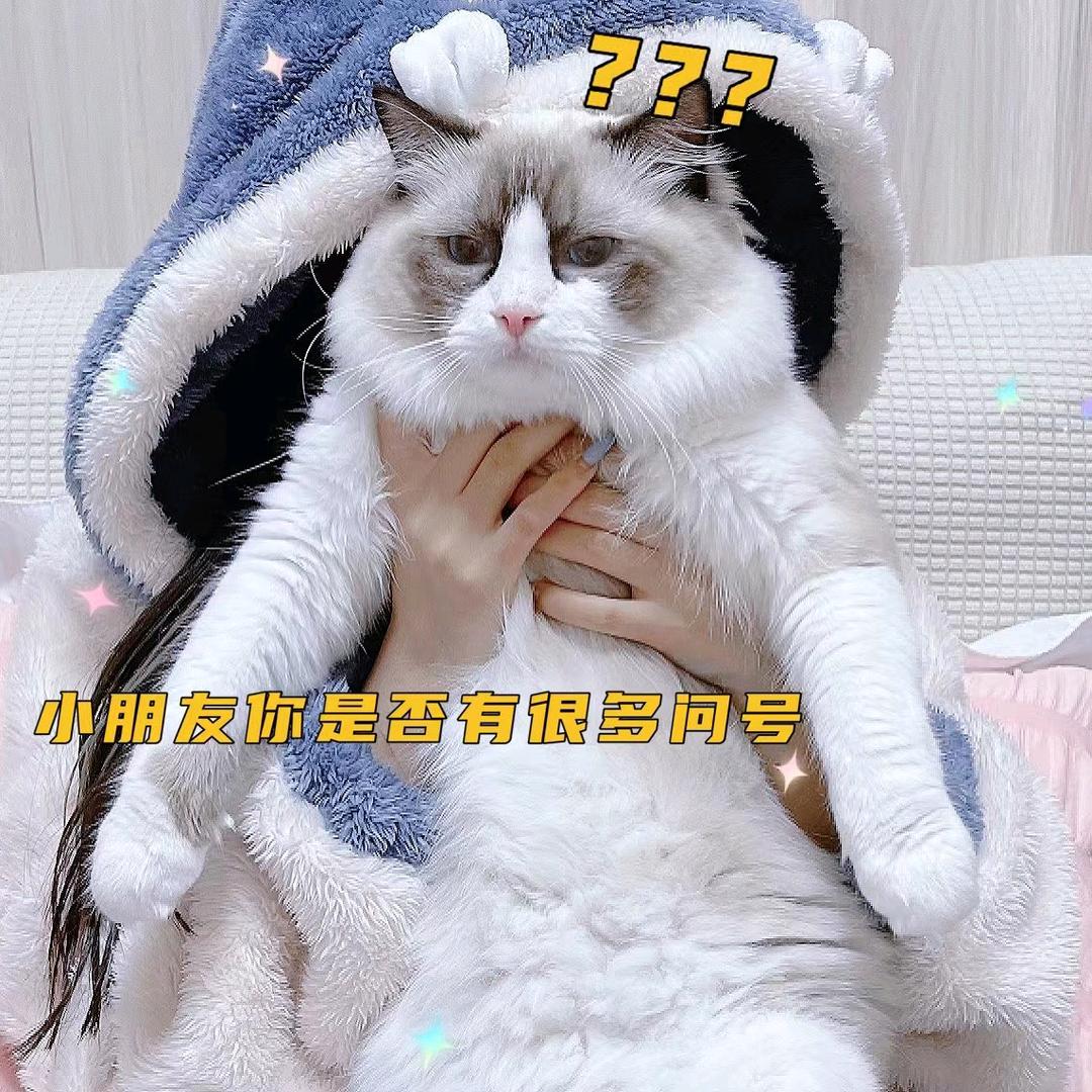 baby黄