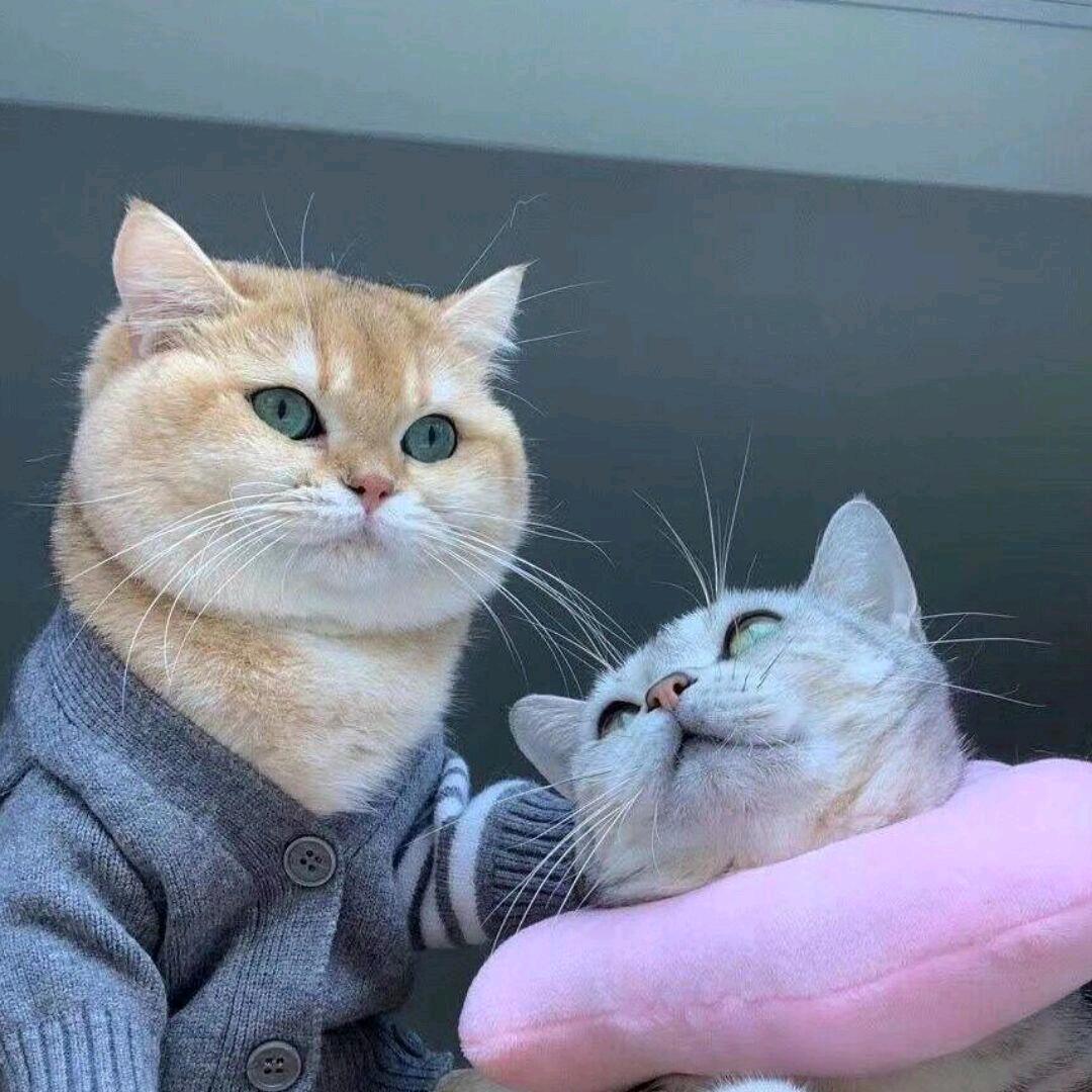 。。。