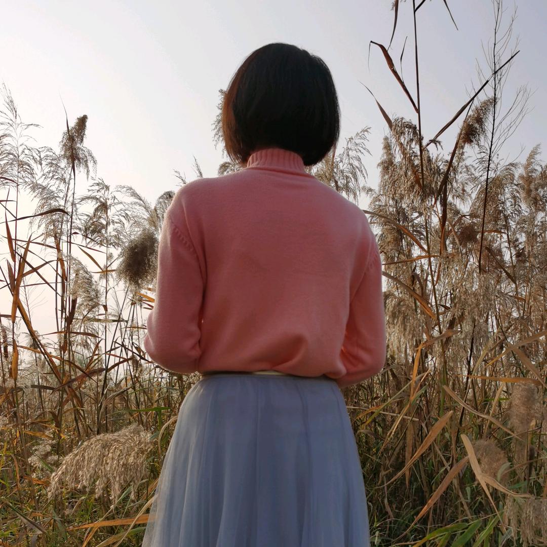 贺兰仙子