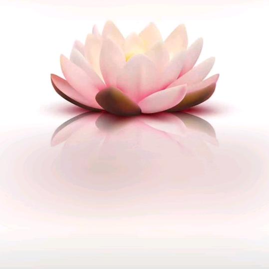 无忧【无咎学堂】