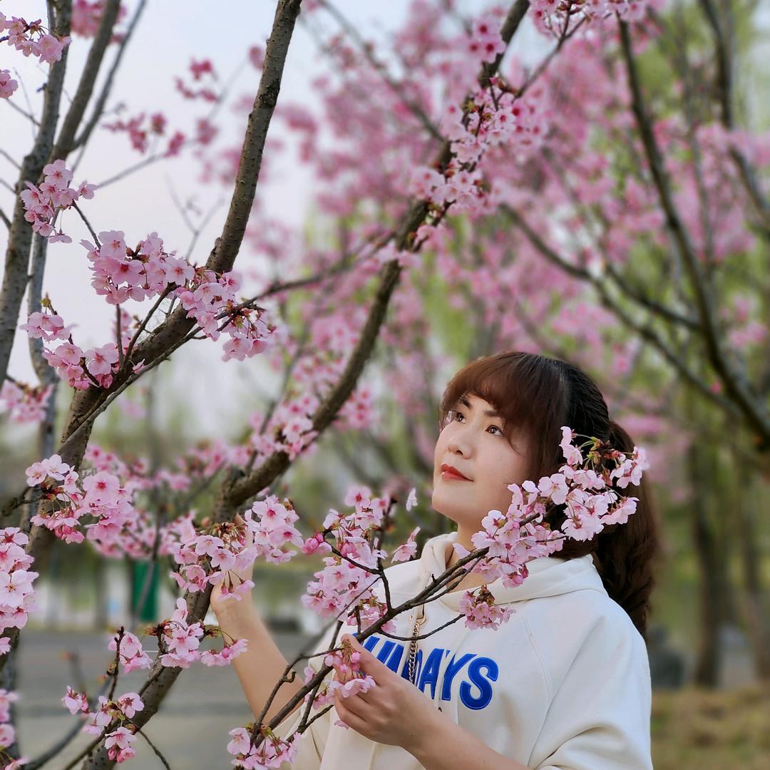 琴琴🍀