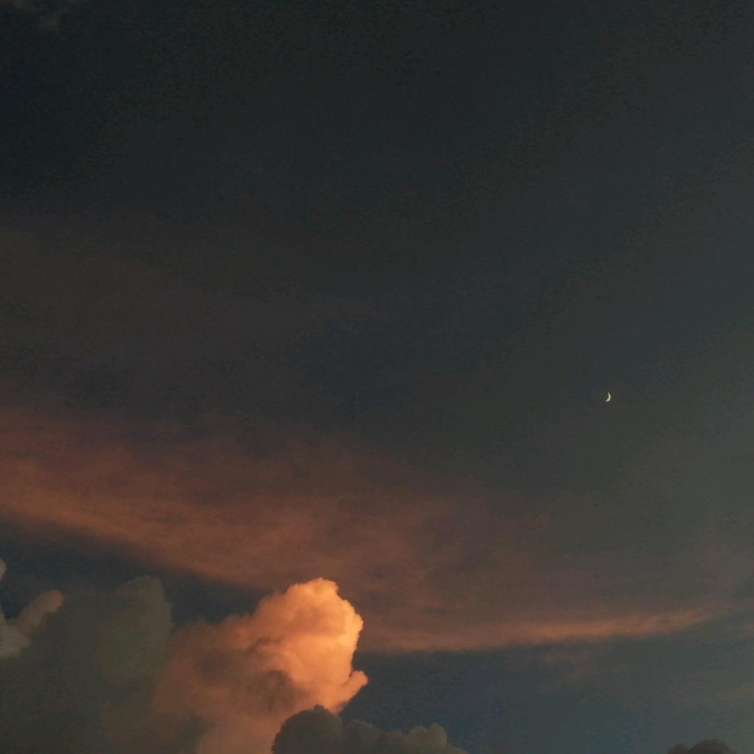 清(｡･ω･｡)ﾉ♡