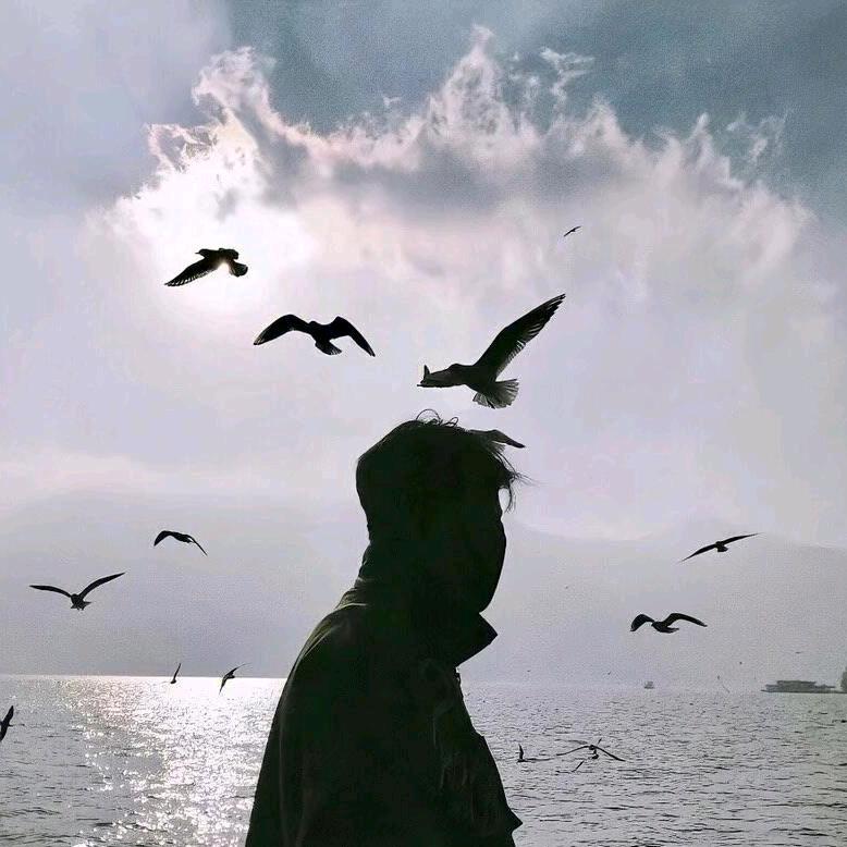 @趴在云朵上的🐸