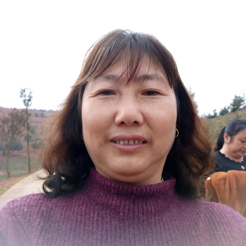 刘丁田