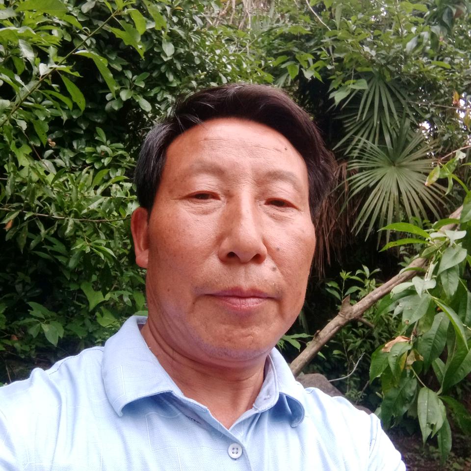 感悟人生