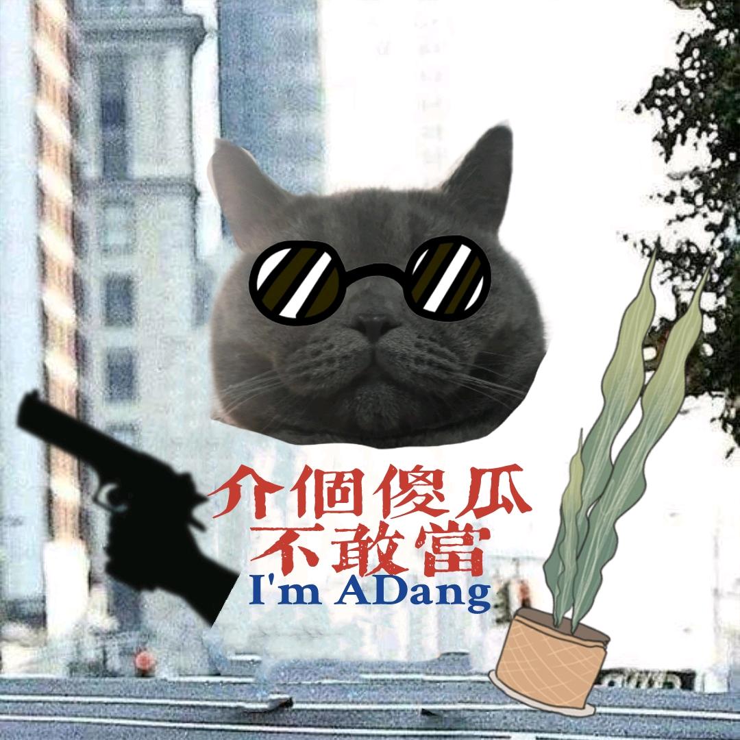 介个傻瓜不敢当