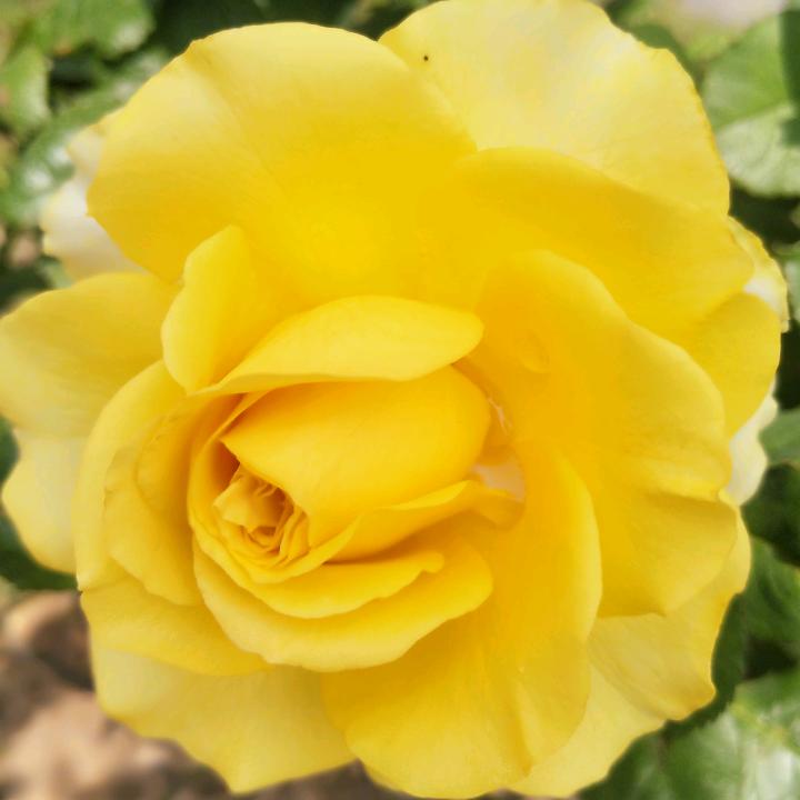 @忘了怎么笑😈