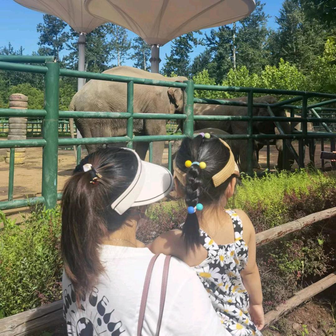 💐涛哥滴小郭郭