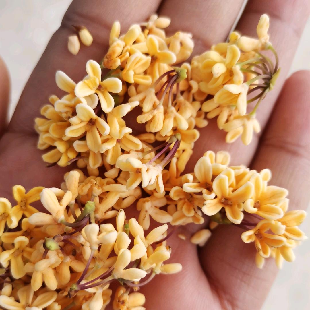 逗你玩💤💤💤😴