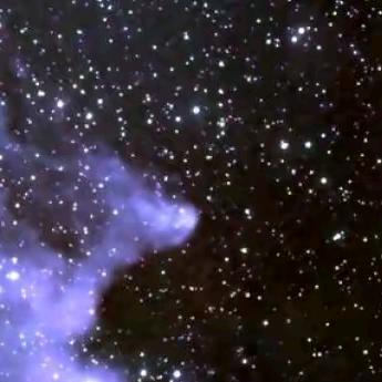 深圳市南山区轩金咨询部