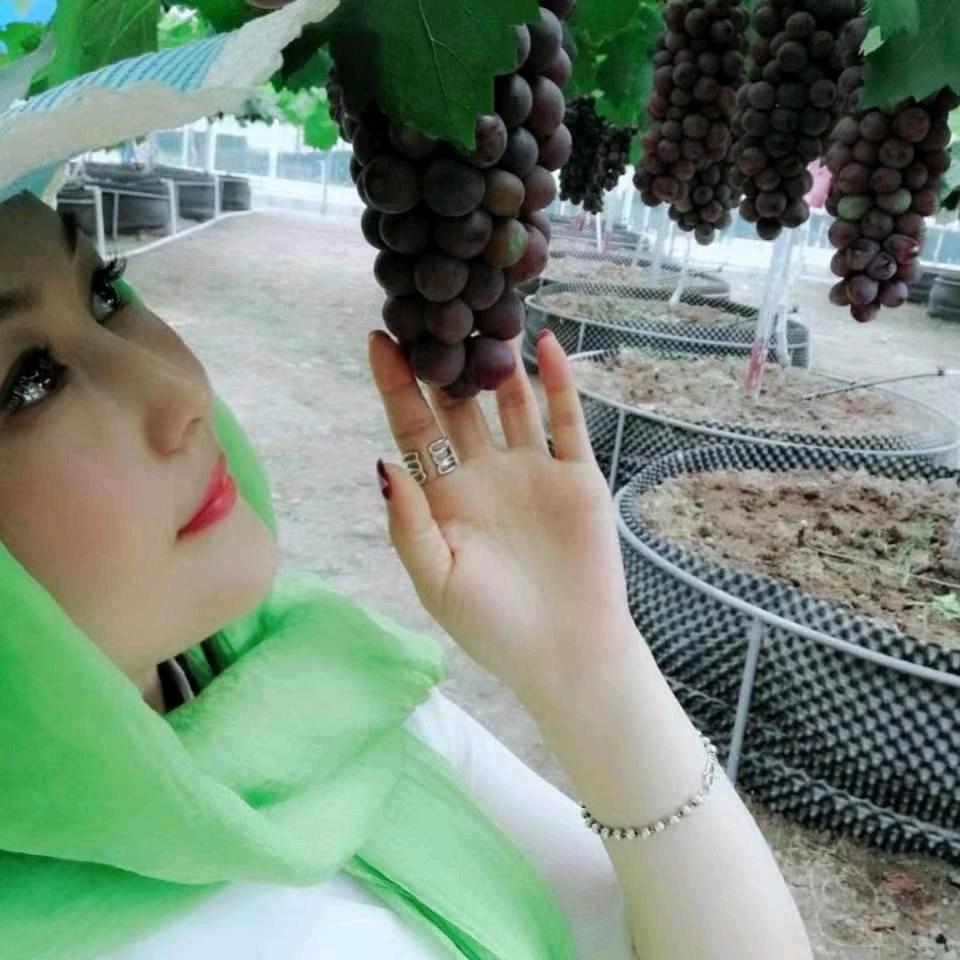 冬天的梅花〈拒聊私聊〉