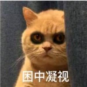 橙子i精选