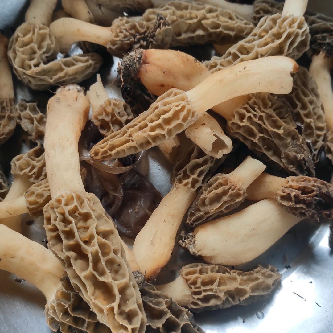 罗叶飞
