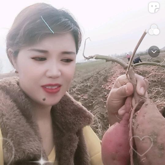 条皮姐🎤