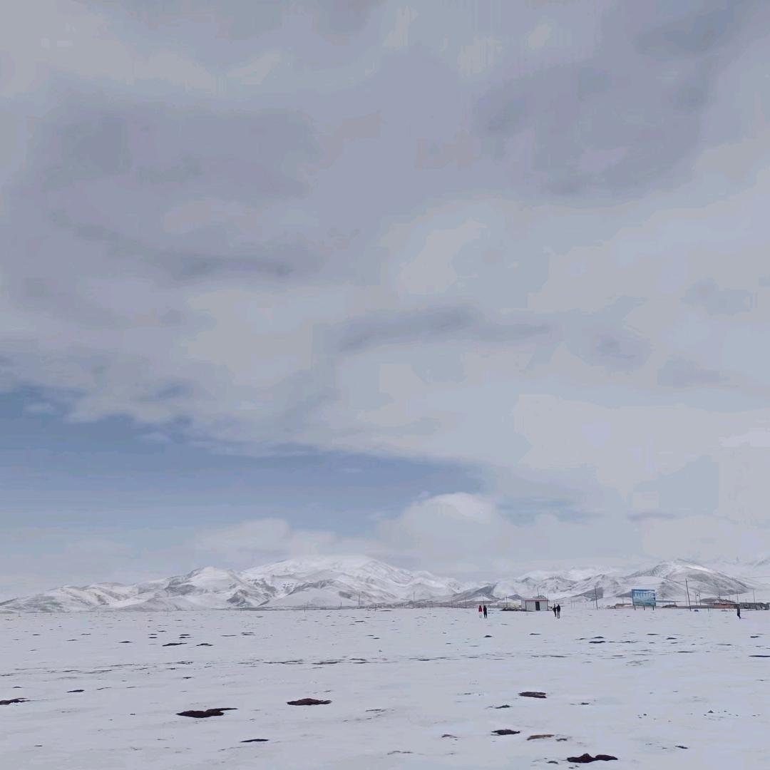 NL cut