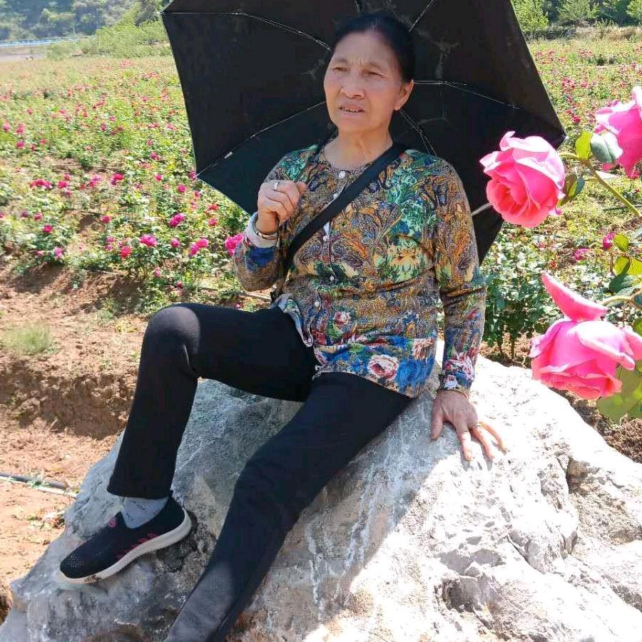 美好阳光