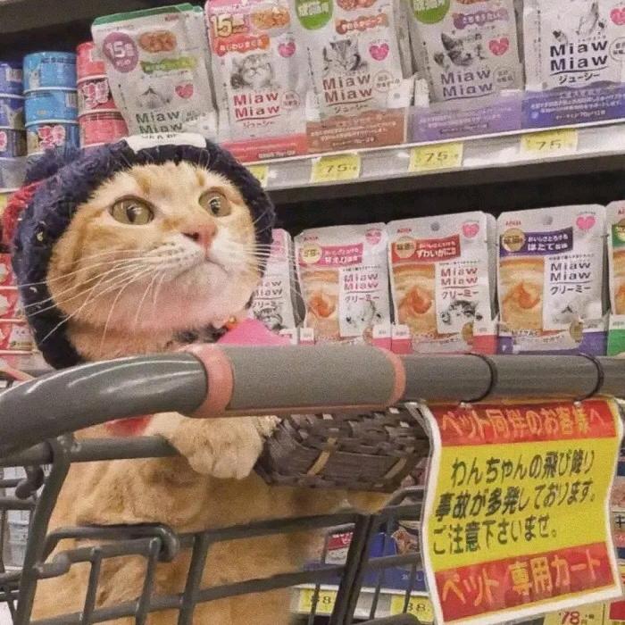 馬馬馬